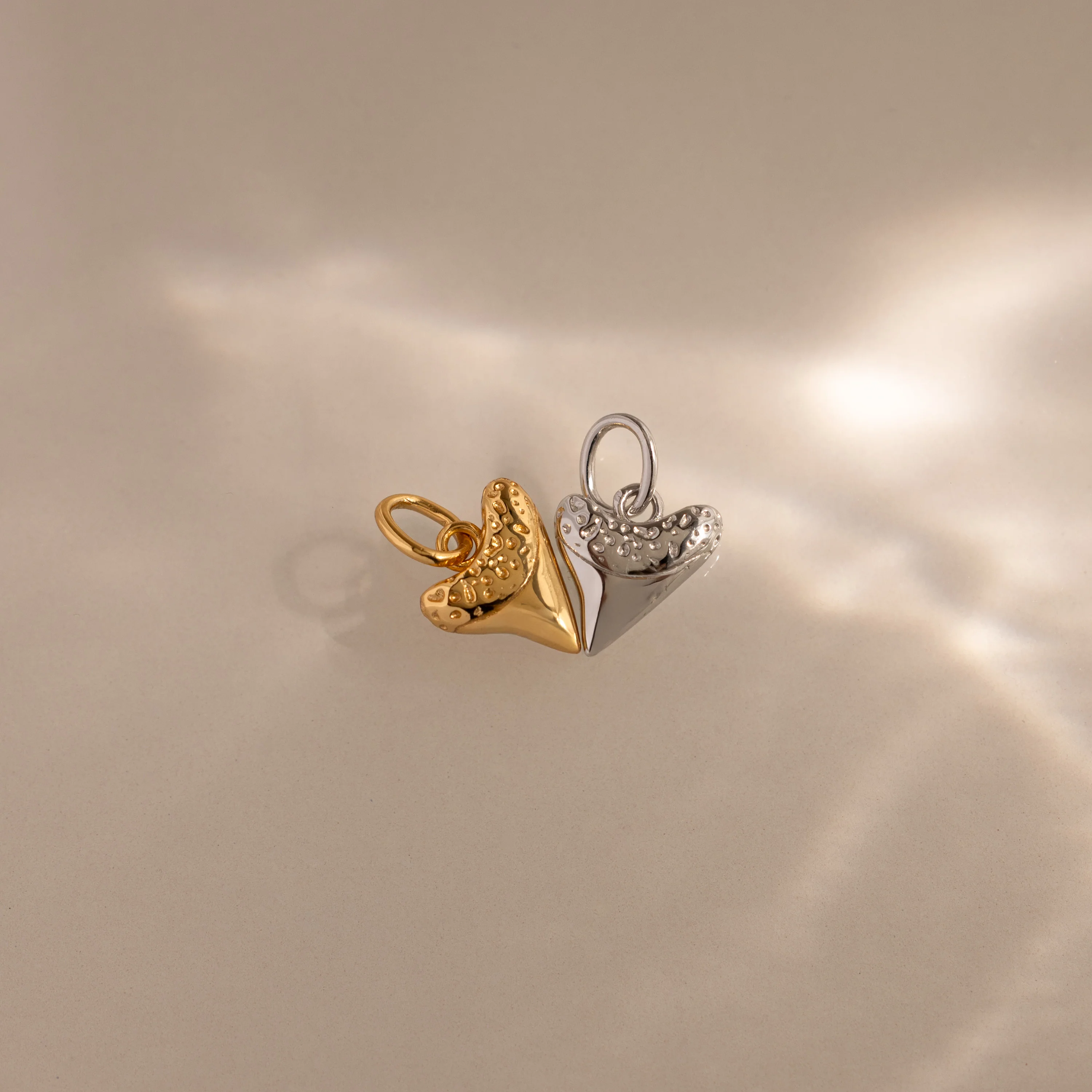 Dainty Shark Tooth Charm