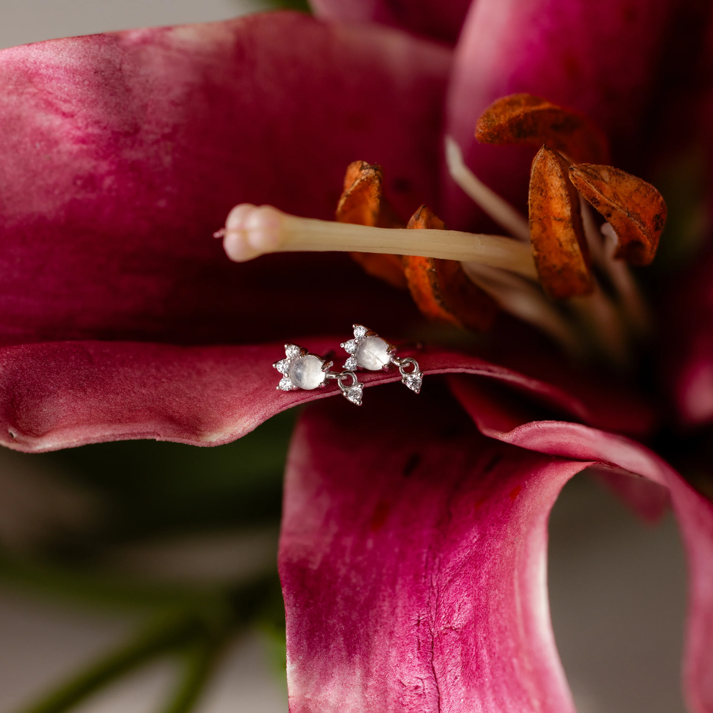 Halo Moonstone Drop Studs in Silver - Image 7