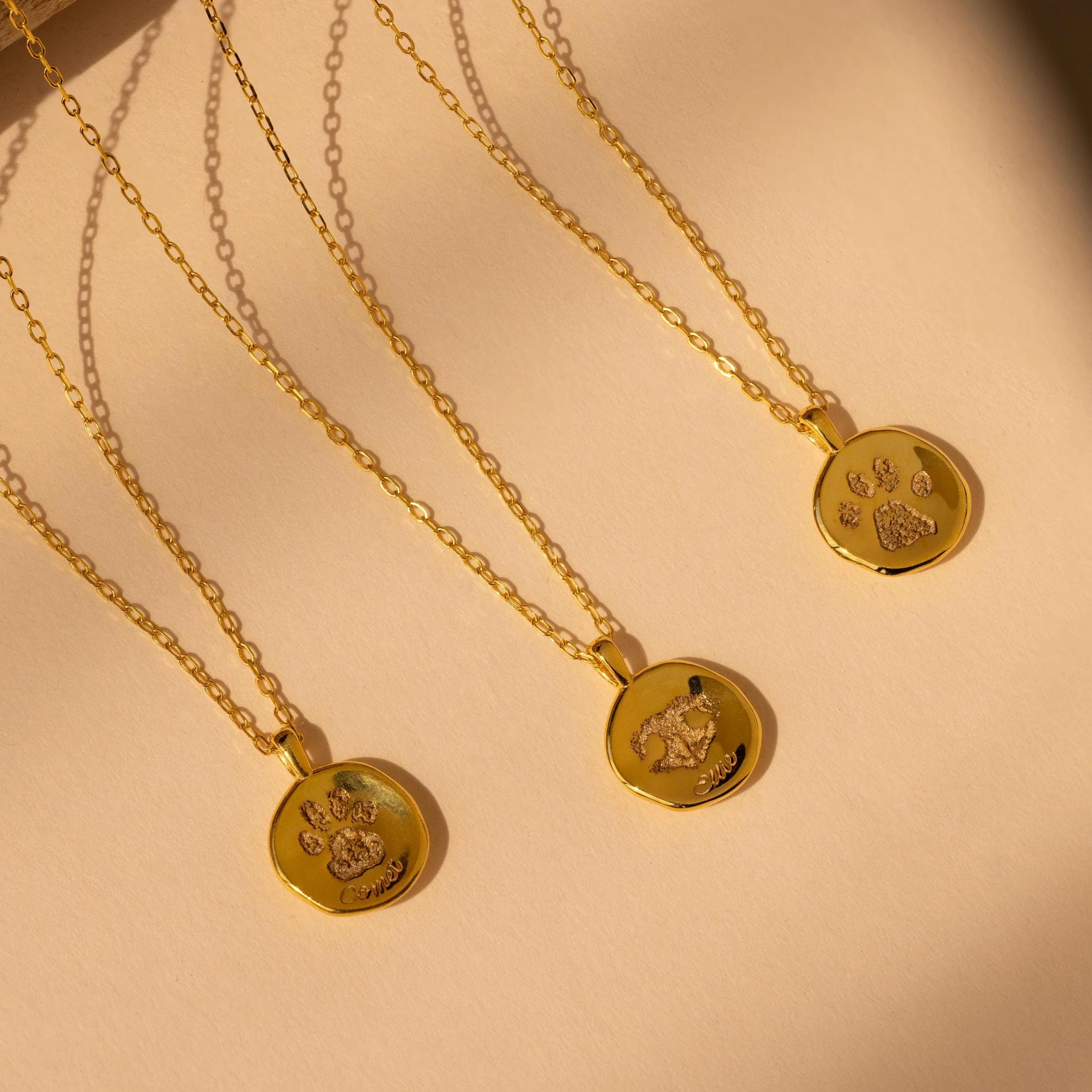 Paw Print Coin Necklace - Image 7