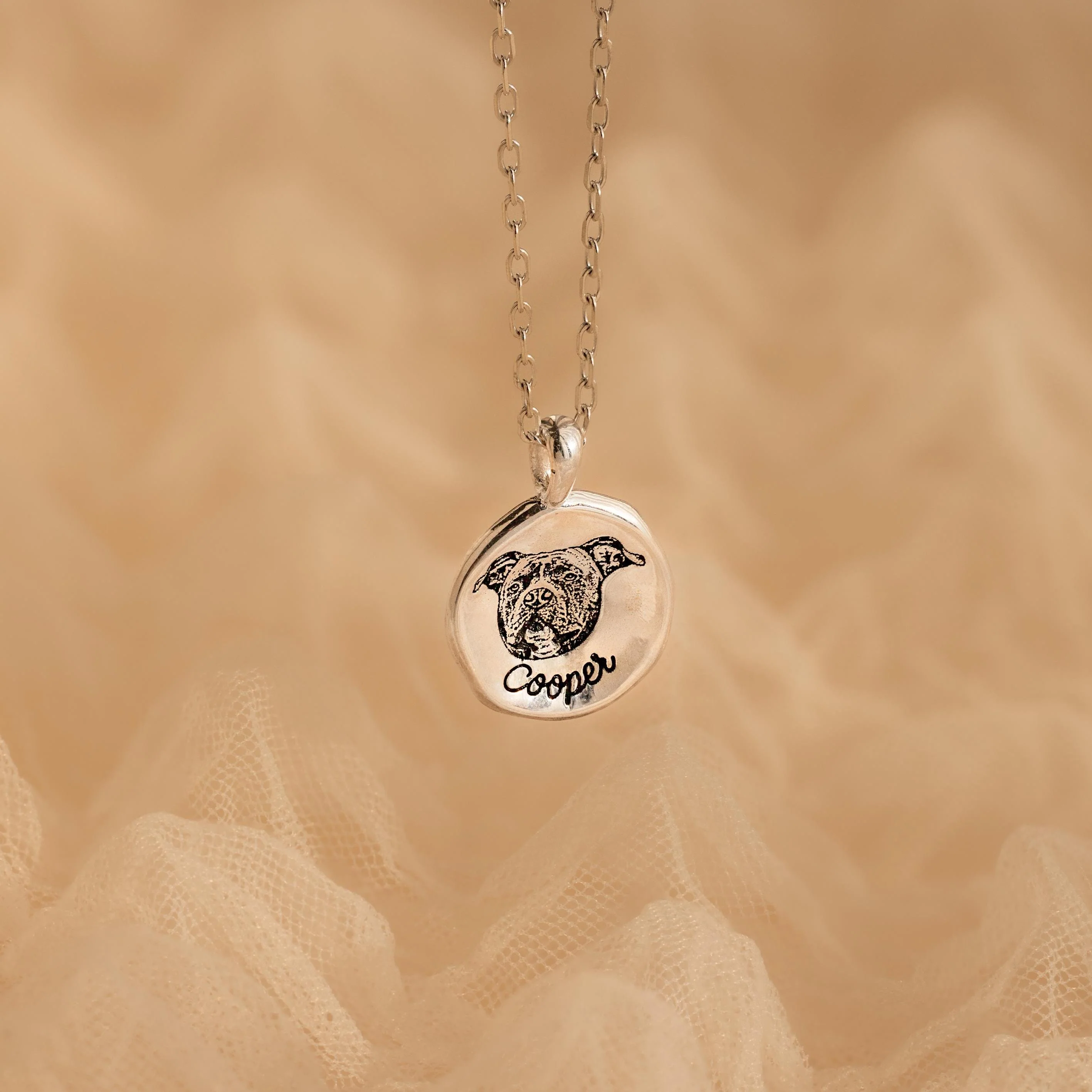 Pet Portrait Coin Necklace - Image 3