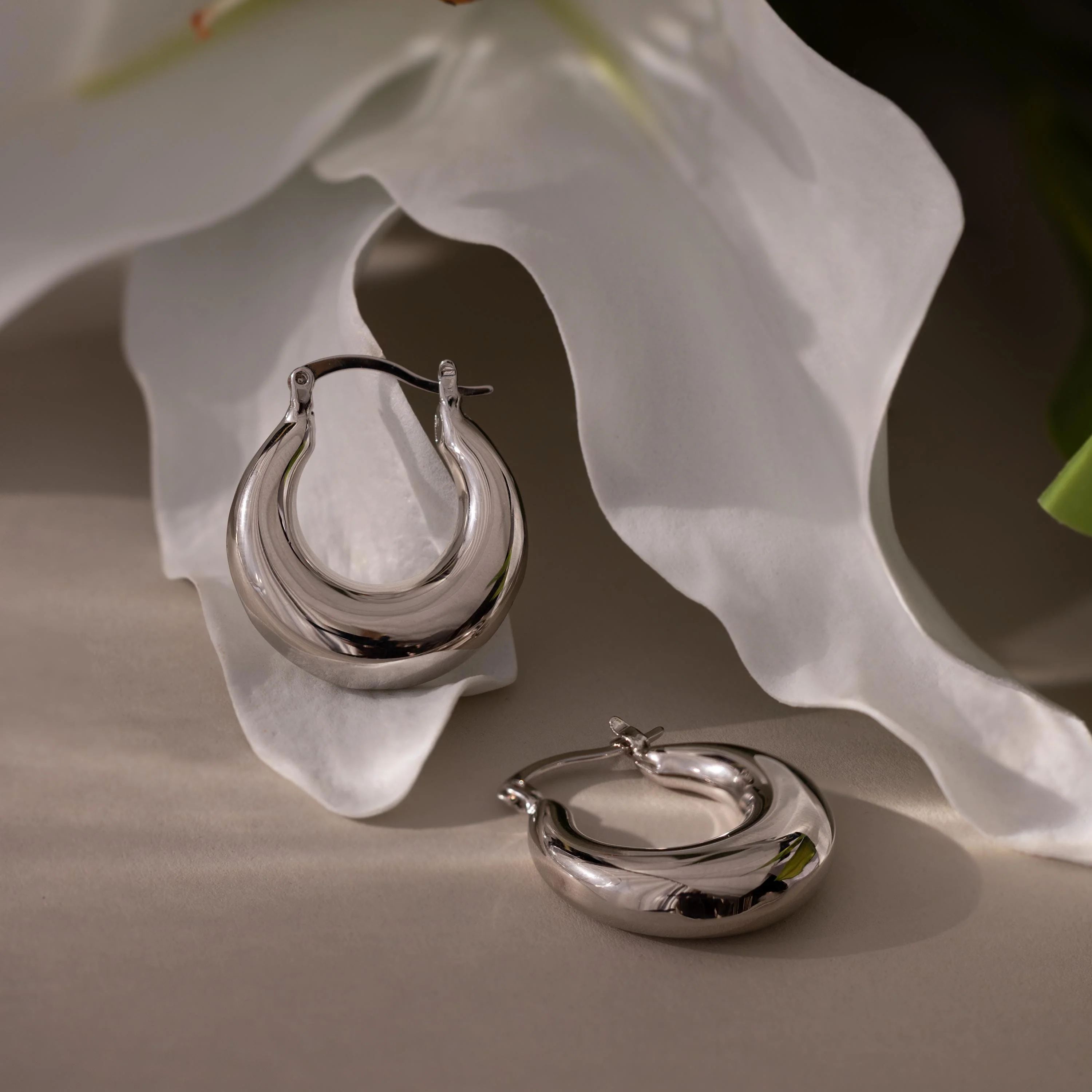 Sculpted Hoops - Image 4