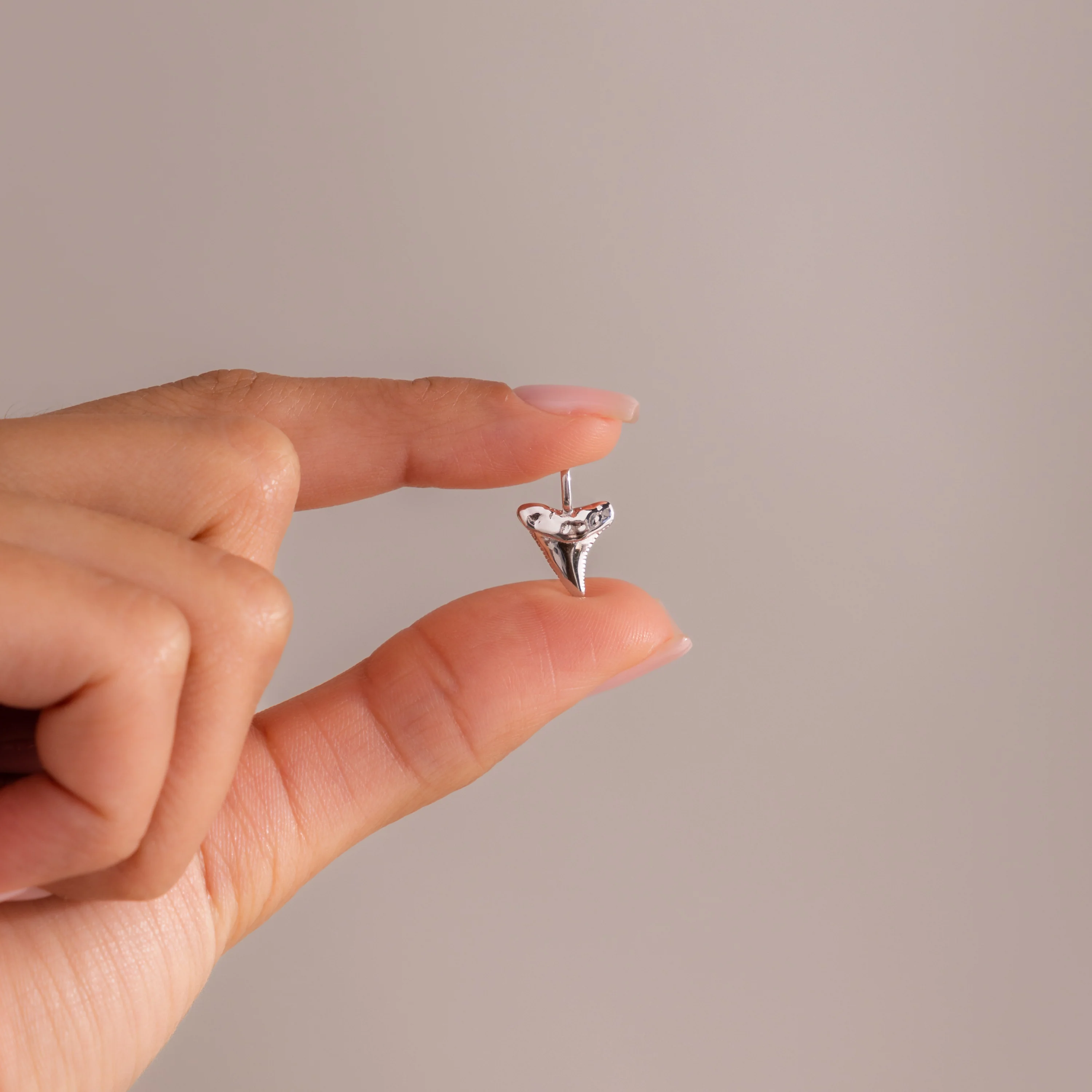 Shark Tooth Charm - Image 4