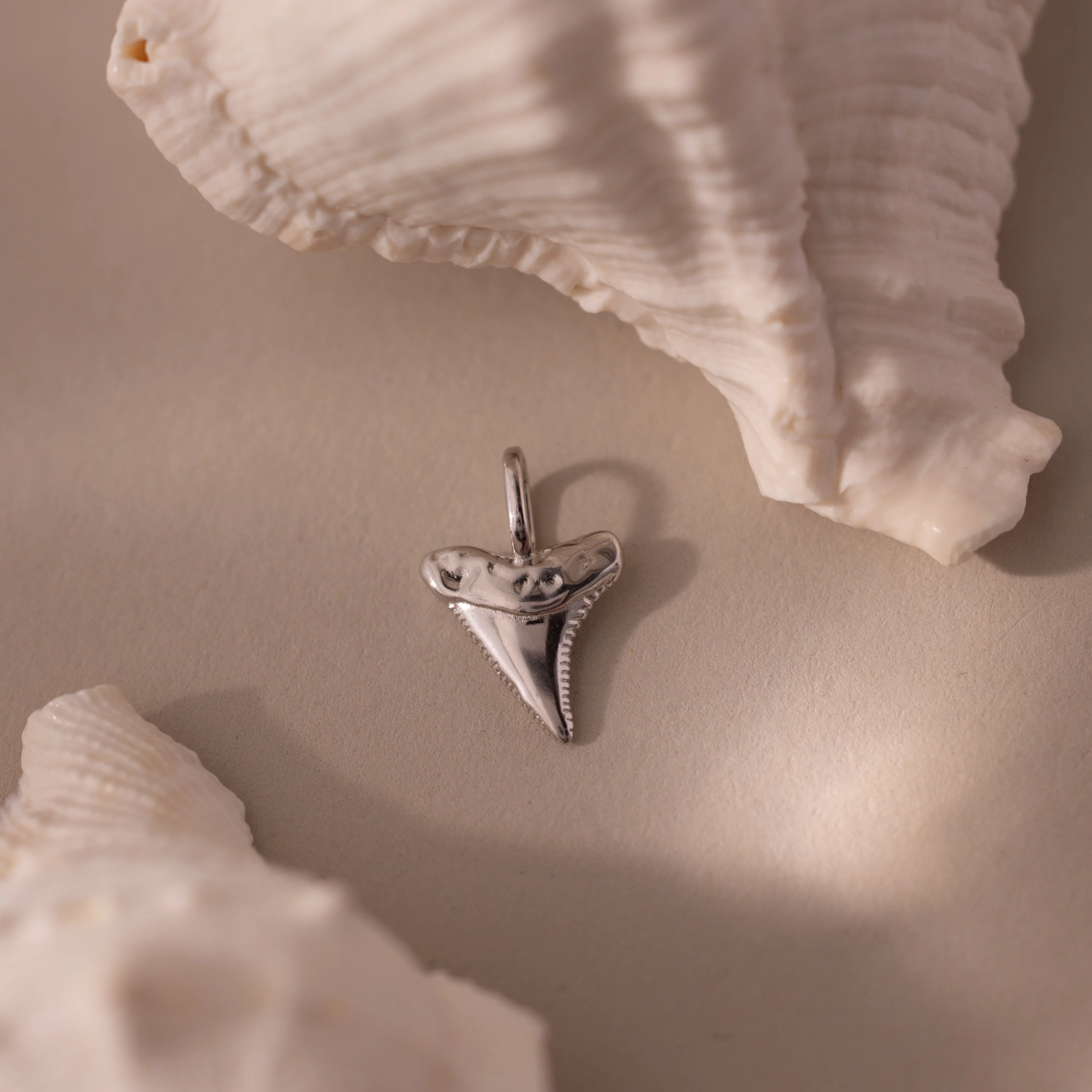 Shark Tooth Charm in Silver - Image 4