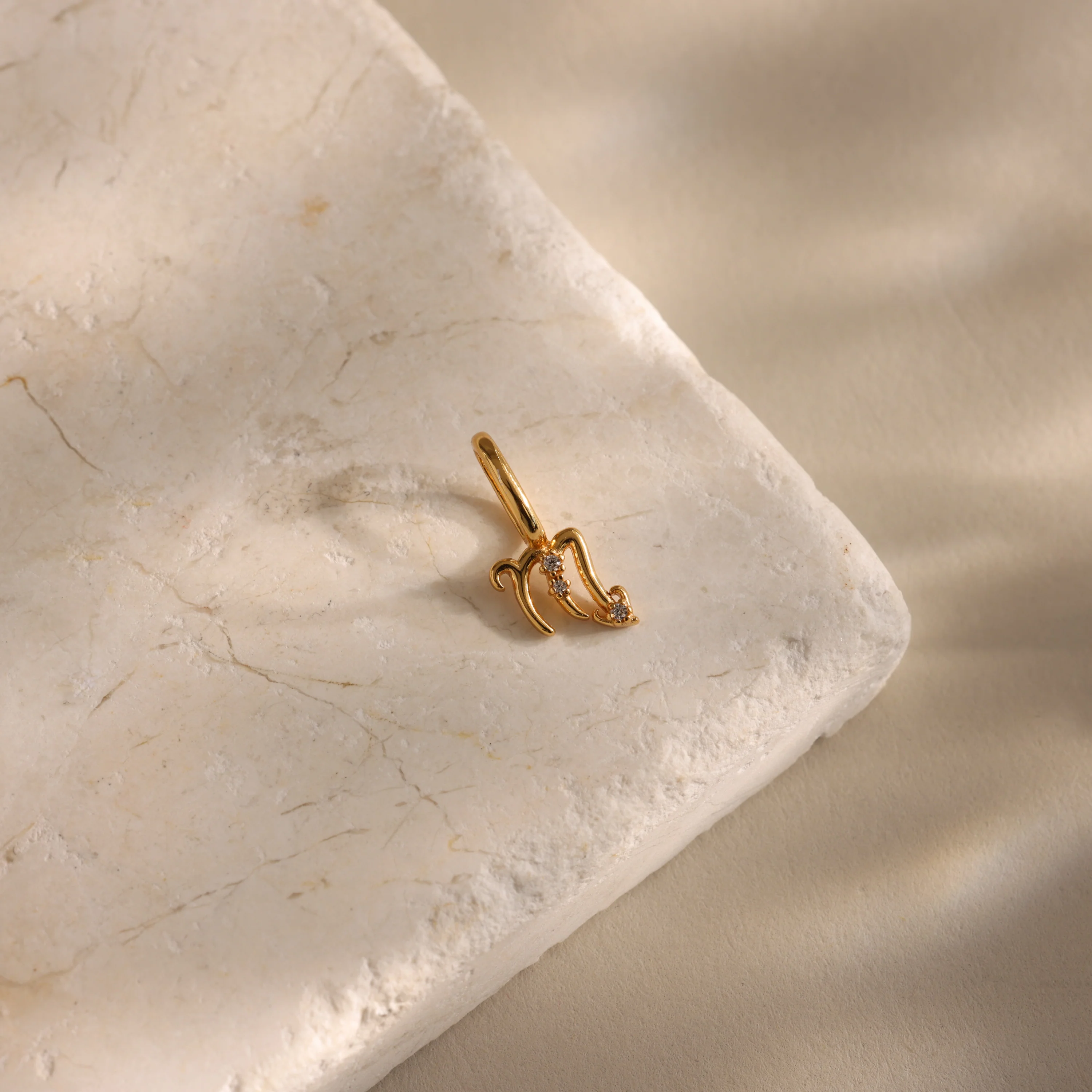 Zodiac Charm - Image 15
